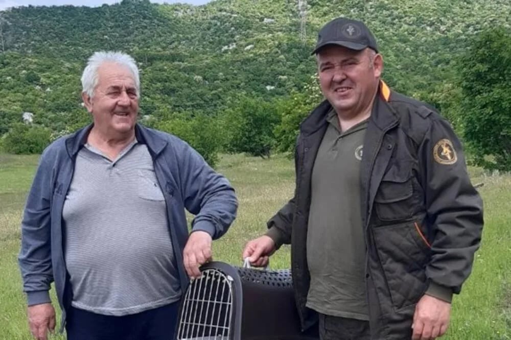 Nikšićki lovci pustili 12 divljih zečeva na tri lokacije