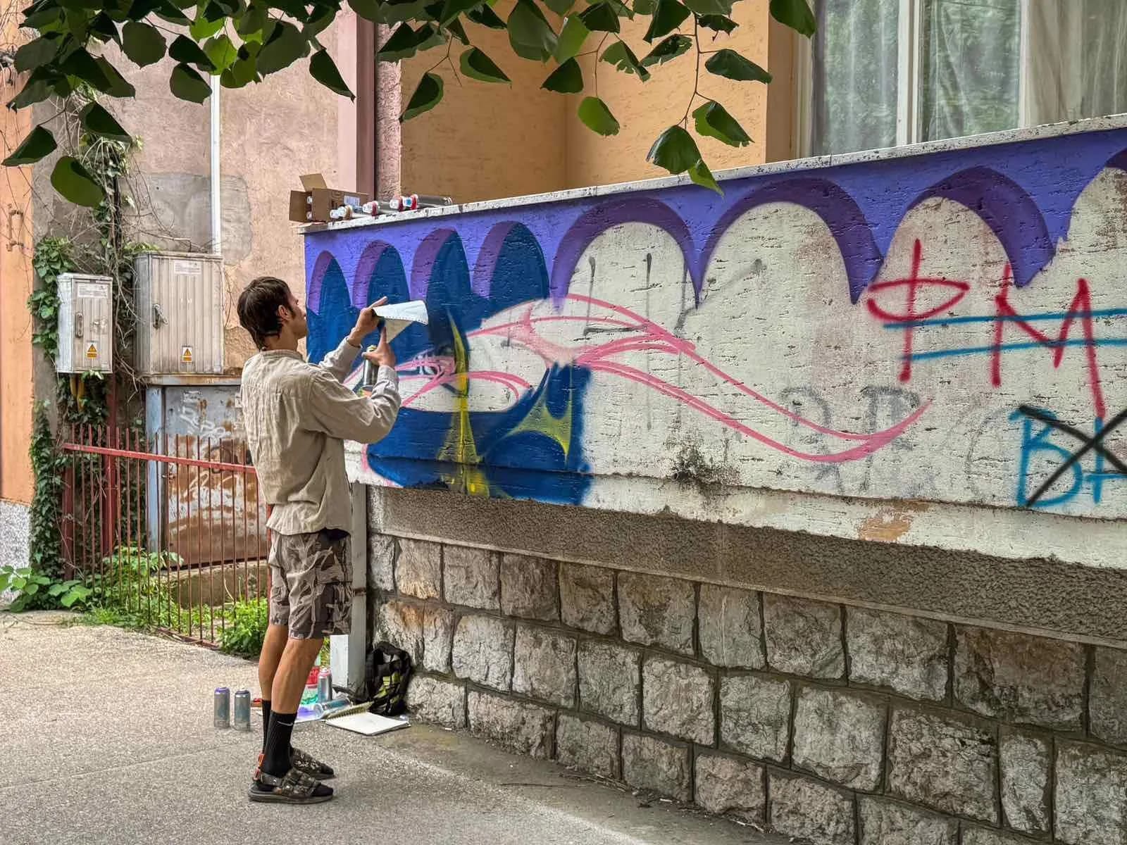 Mladi umjetnici oslikavaju gradske fasade