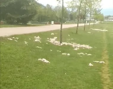 (FOTO) Odbačena vuna pored Šetališta