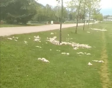 (FOTO) Odbačena vuna pored Šetališta