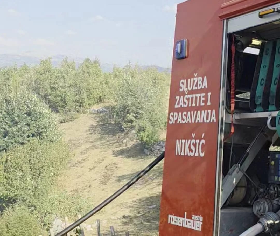 Gori u Petrovićima i rejonu Pišteta–Dubrava