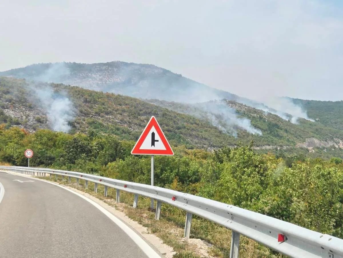 Tripković: Požari pod kontrolom, pomoć stigla iz vazduha