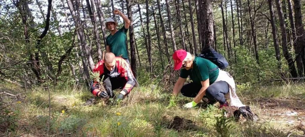 Akcija pošumljavanja i čišćenja na Trebjesi