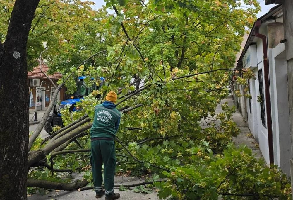 (FOTO) Vjetar oborio stablo u Manastirskoj ulici