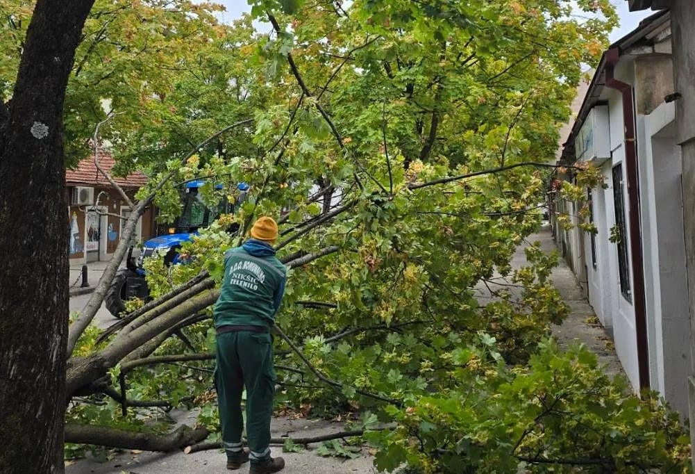 (FOTO) Vjetar oborio stablo u Manastirskoj ulici