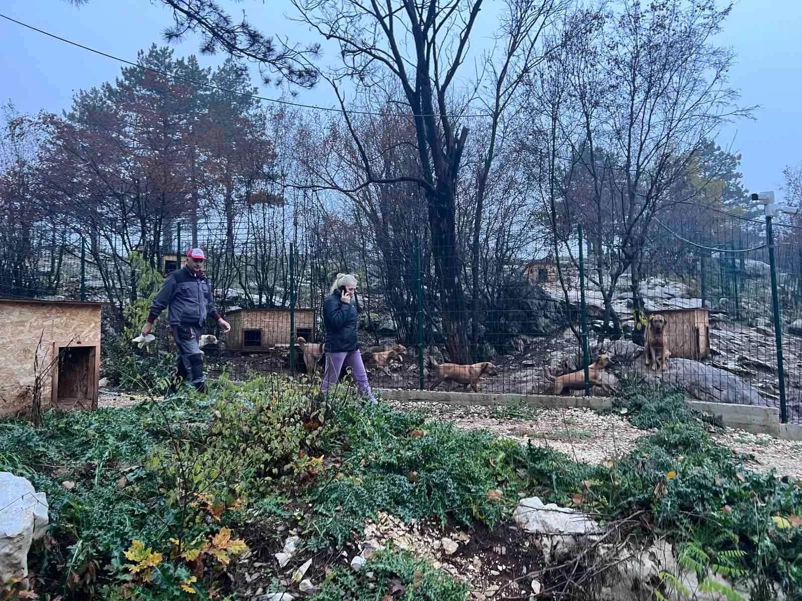 Kapaciteti Slobodne zone popunjeni, udomljeno 10 pasa
