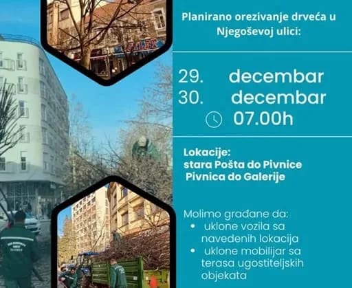 JP Komunalno: Orezivanje drveća u Njegoševoj ulici sjutra i preksjutra