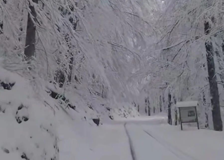NP Biogradska gora zatvoren zbog nevremena