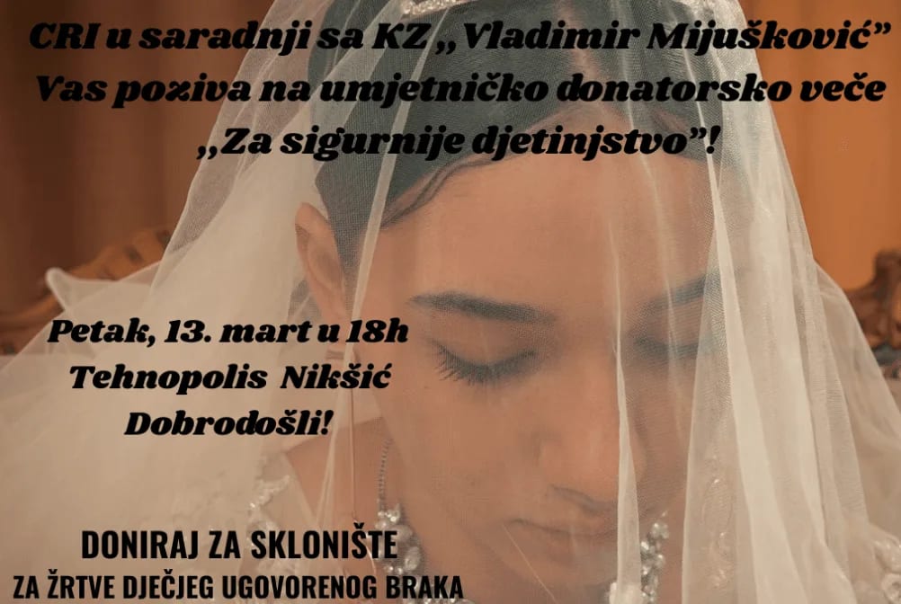 Donatorsko veče “Za sigurnije djetinjstvo” u Tehnopolisu