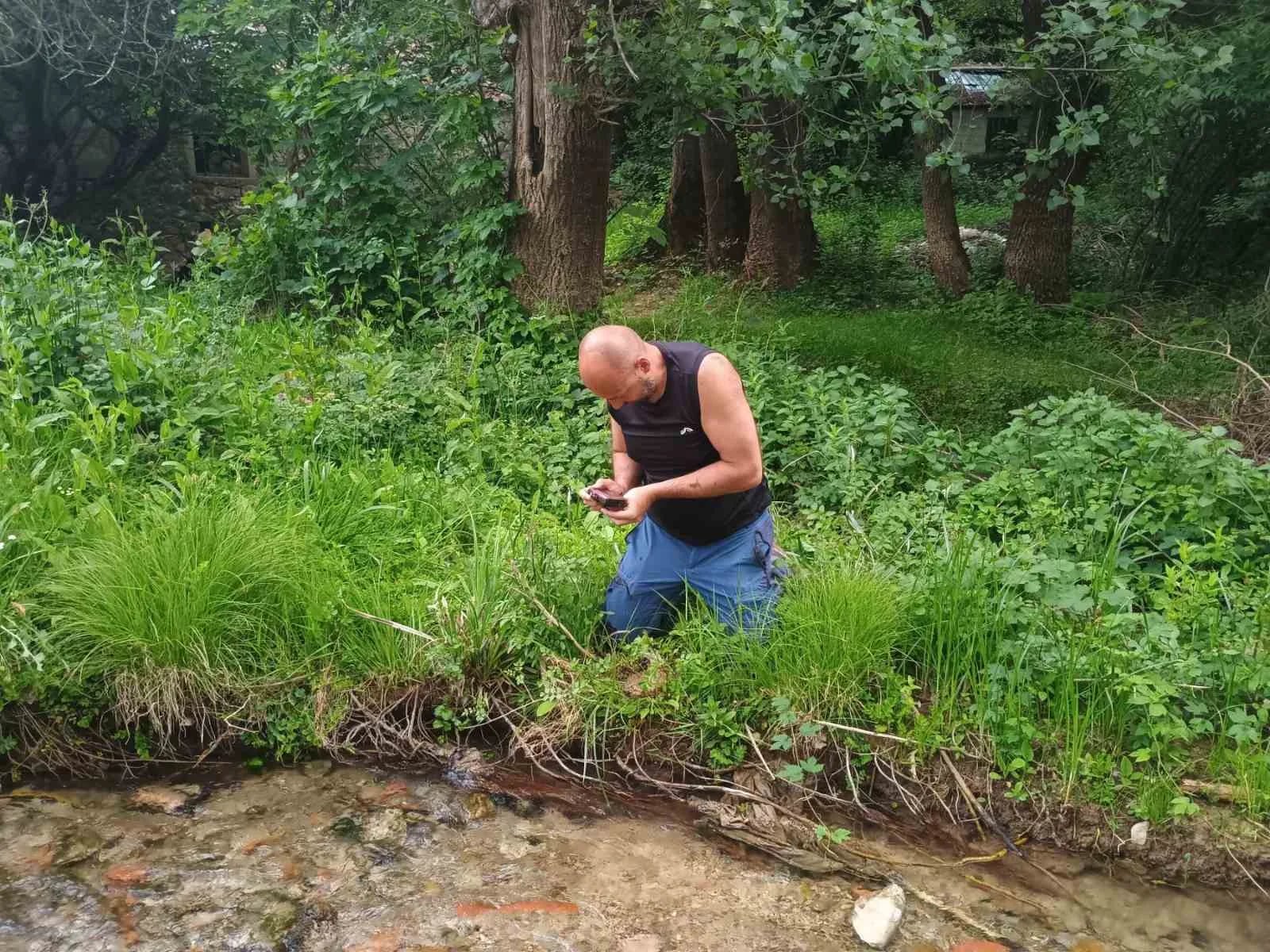 Istraživali faunu Nikšića, otkrili nova staništa rijetkih vrsta