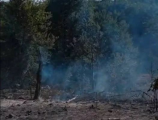 Požar u Ponikvicama ne jenjava, gašenje nastavljeno uz pomoć vazduhoplova