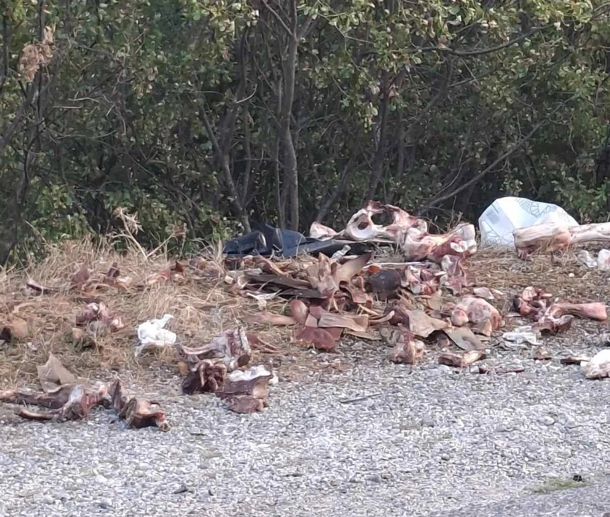 Gomila životinjskog otpada i kosti pored puta na krivini ka Lukovu