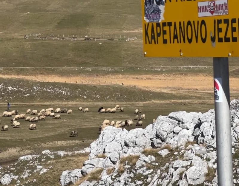 Ministarstvo pozvalo poljoprivrednike da prijave tržišne viškove jagnjadi do 2. septembra