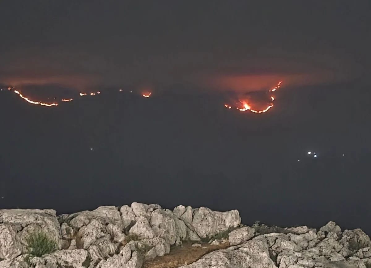 OZON: Nedopustivo je pričati o namjerno izazvanim požarima, a ne indetifikovati i sankcionisati odgovorne