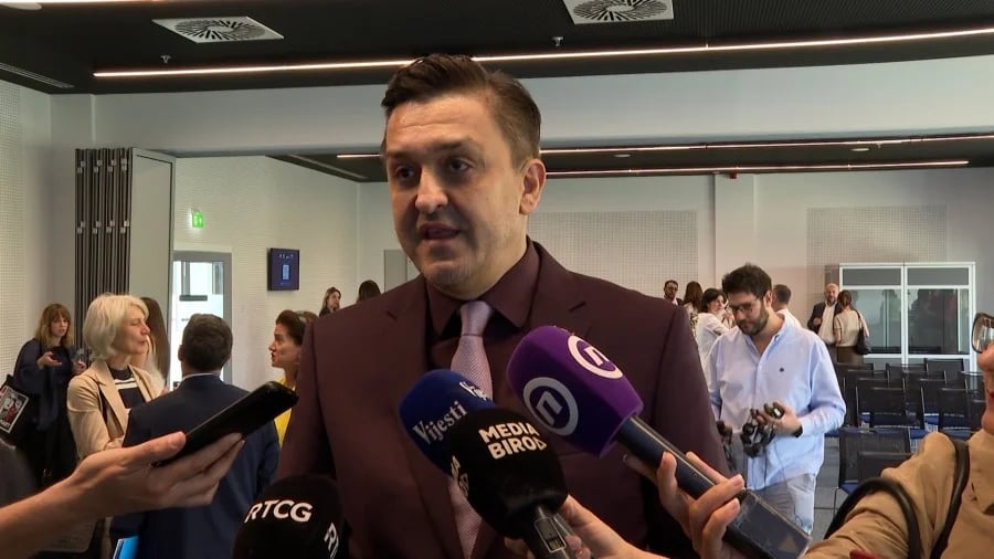 Vuković: Kolege brzo analizirale Euro model povećanja zarada, meni treba više vremena