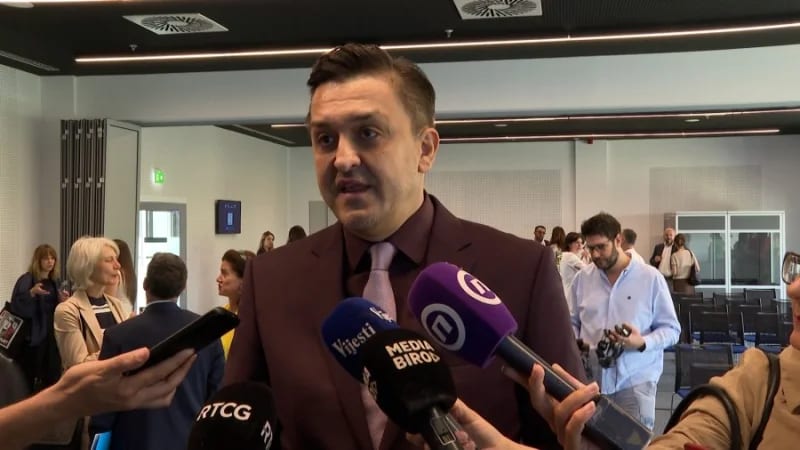 Vuković: Kolege brzo analizirale Euro model povećanja zarada, meni treba više vremena