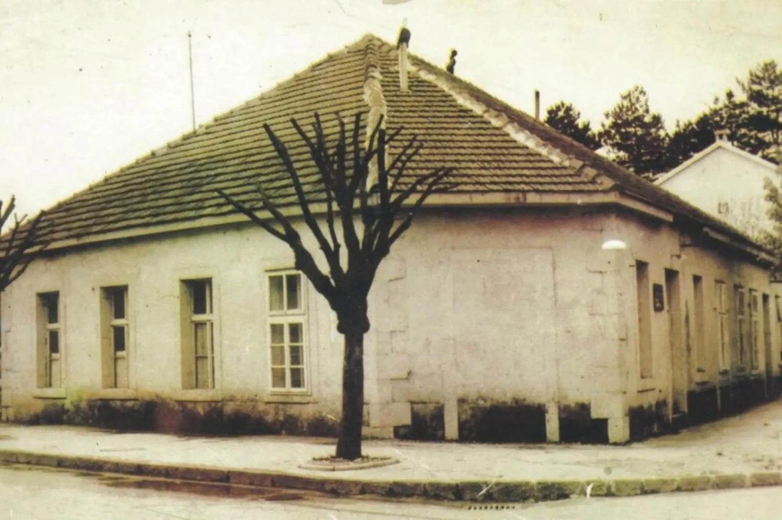 (FOTO) Na mjestu gdje je počela istorija Gimnazije "Stojan Cerović"