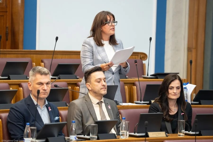 Vujović: Ono što je nezakonito offline, biće nezakonito i online