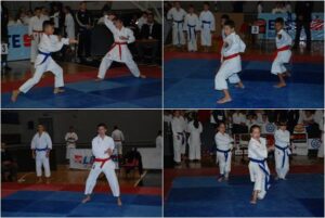 page_karate