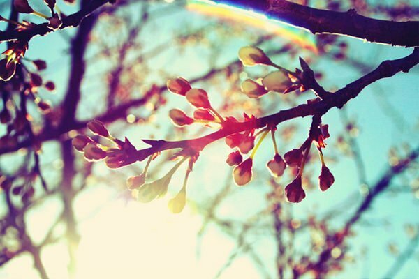65-spring-in-the-air