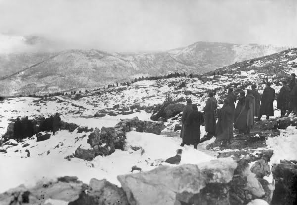 mojkovac