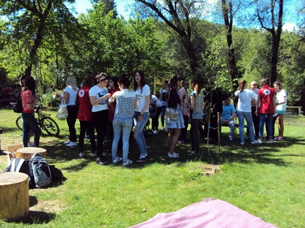 krst333