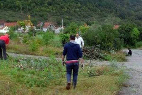 rastinje