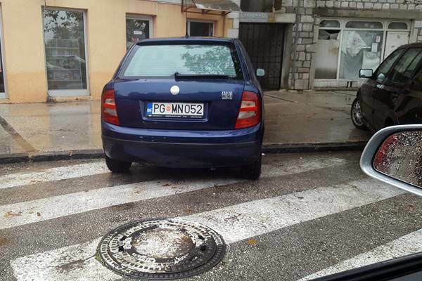 plavi_naslovna