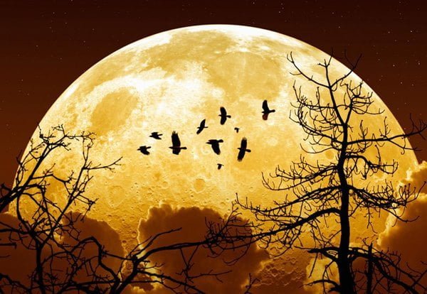 supermoon