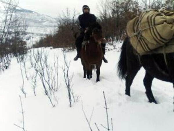 golija