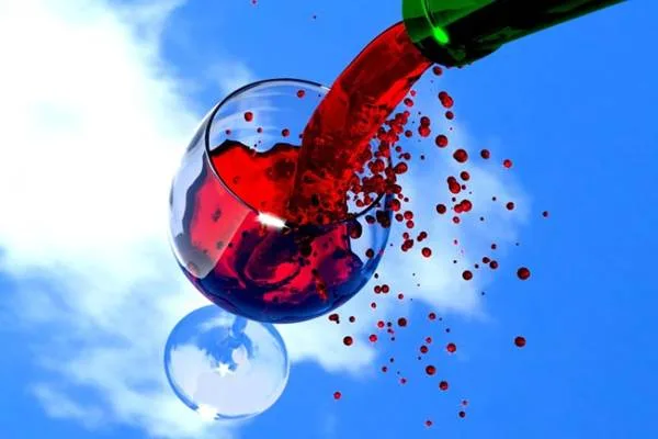 vino1