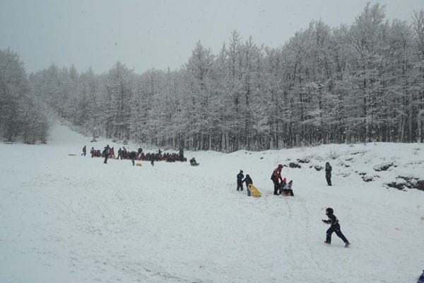 vucje