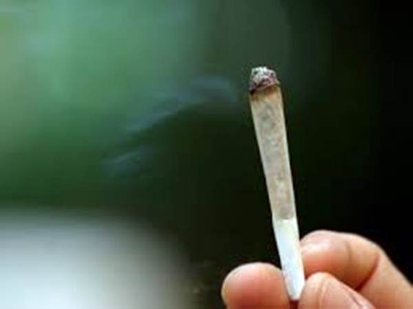 marihuana1