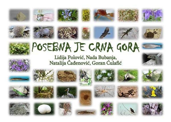 izlozba1