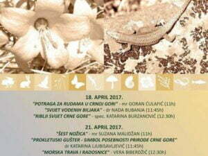 posebna_je_crna_gora1