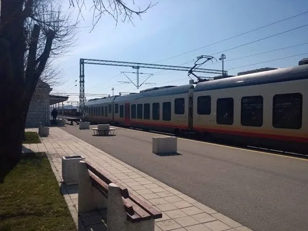 voz_darko