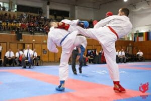 13920345_1173718529351099_1813695263386358283_o