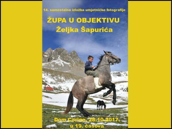 zeljko_sapuric