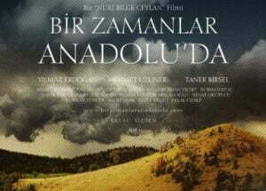 23795227_2050719951827065_7999066161157996581_n