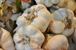 garlic-3126253_960_720
