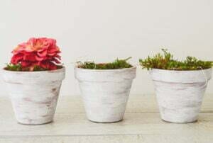 debby-hudson-533412-unsplash