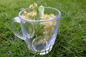 herbs-1823966_960_720