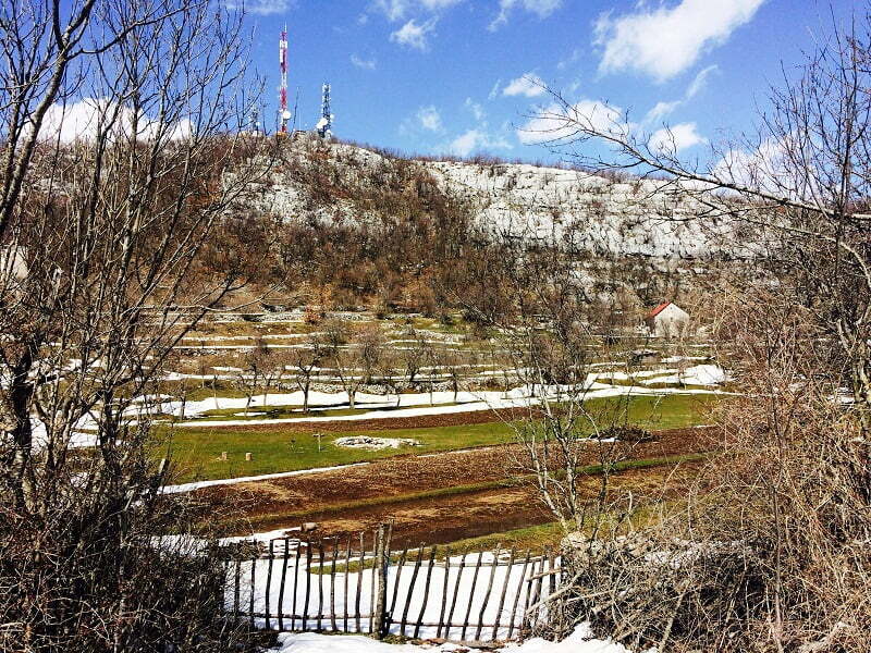 tovic_naslovna