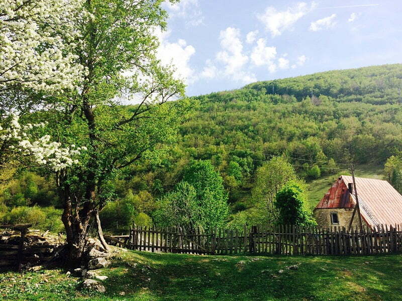 bukovac_naslovna
