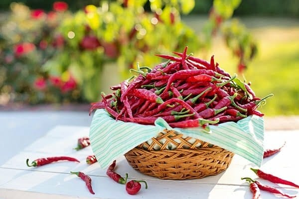 cayenne-peppers-2779828_960_720