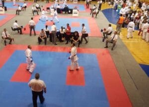 karate-opsta-960x555