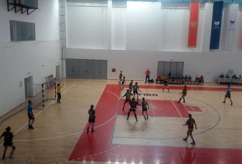 levalea