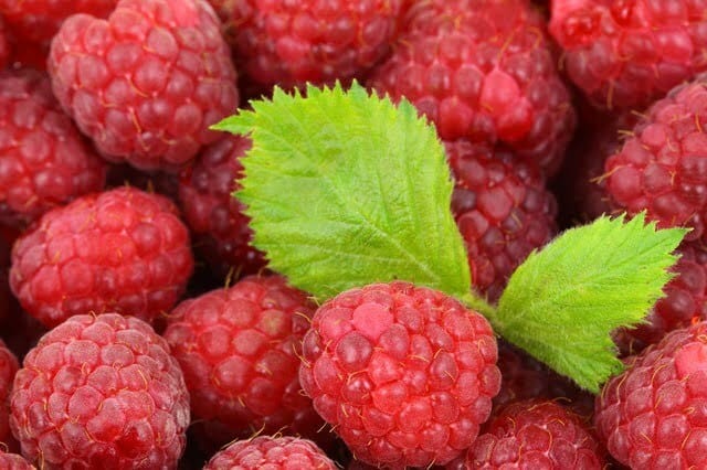 background-2276_640