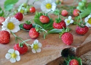strawberries-1463806_960_720