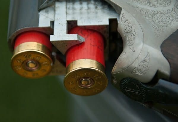 gun-1761235_960_720